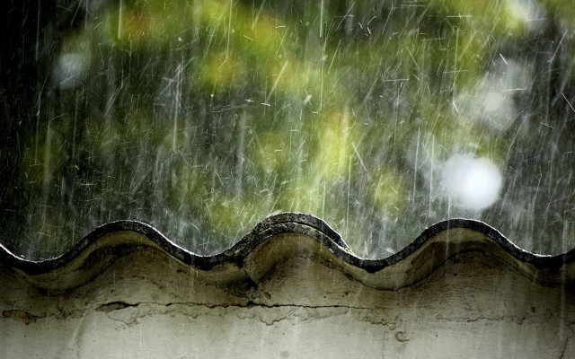 Rain storm roof tree raindrops #2 free wallpaper for desktop - medium preview image