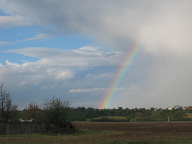 Rainbow field grass trees cloudy #2 free wallpaper for desktop - medium preview image