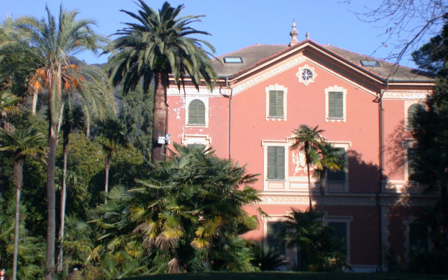 Large pink building palm trees #2 free wallpaper for desktop - medium preview image