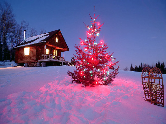 Small christmas tree snow house #2 free wallpaper for desktop - medium preview image