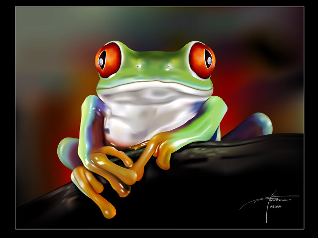 Frog red eyes branch black free wallpaper for desktop - medium preview image