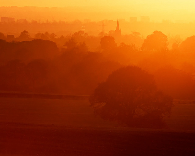 City sunset horse grazing distant free wallpaper for desktop - medium preview image