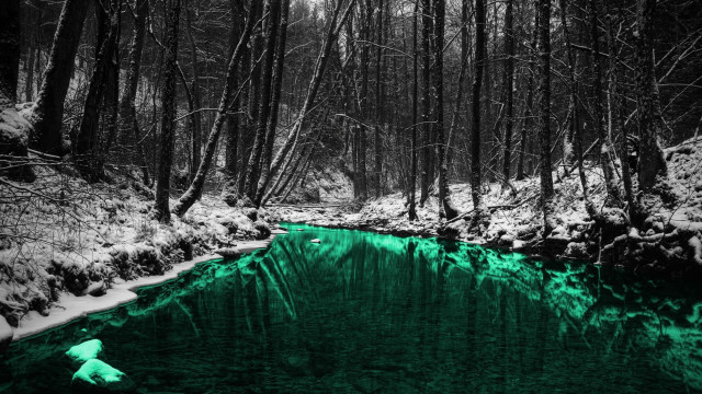 Stream forest snow trees nature free wallpaper for desktop - medium preview image