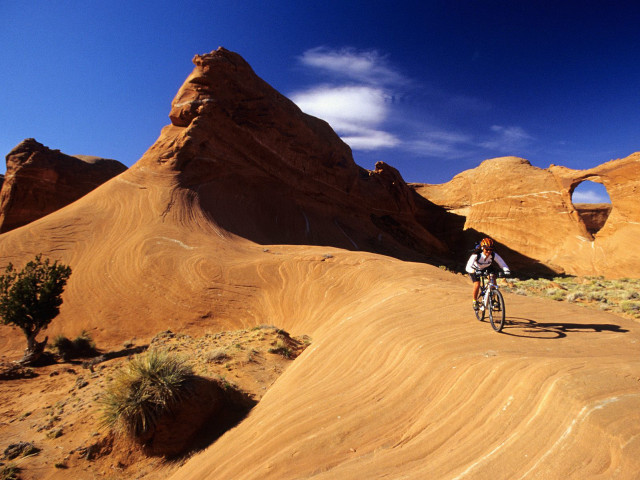 Man bike dirtroad rocks desert free wallpaper for desktop - medium preview image