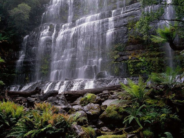 Waterfall forest rocks plants sunlight free wallpaper for desktop - medium preview image