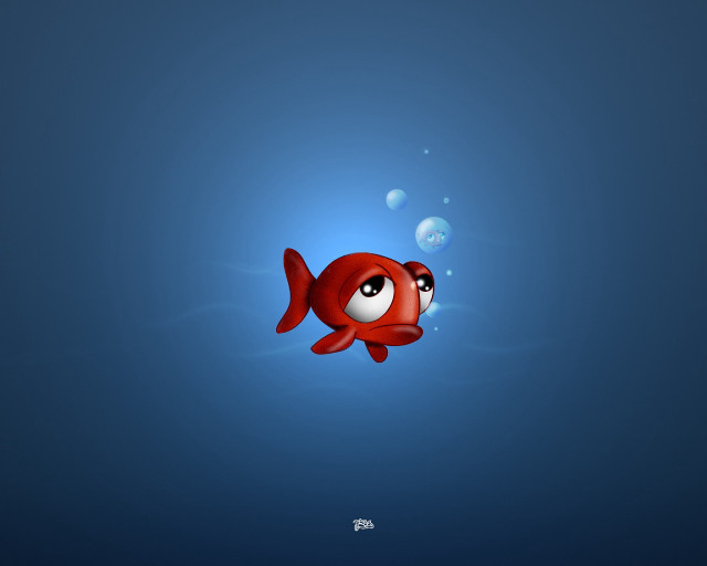 Red fish big eyes swimming free wallpaper for desktop - medium preview image