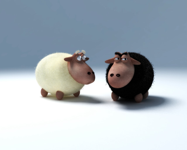Two sheep white surface blue free wallpaper for desktop - medium preview image