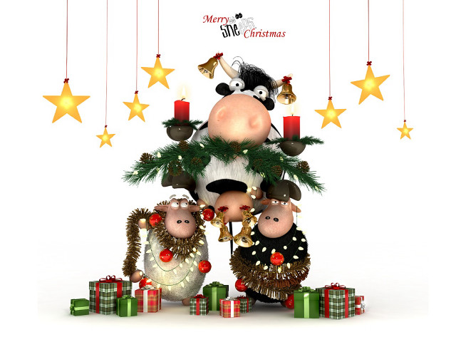 Animals couple christmas decorations candles free wallpaper for desktop - medium preview image