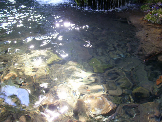 Stream water rocks plants sunlight free wallpaper for desktop - medium preview image