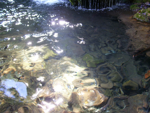 Stream rocks plants sun reflection free wallpaper for desktop - medium preview image