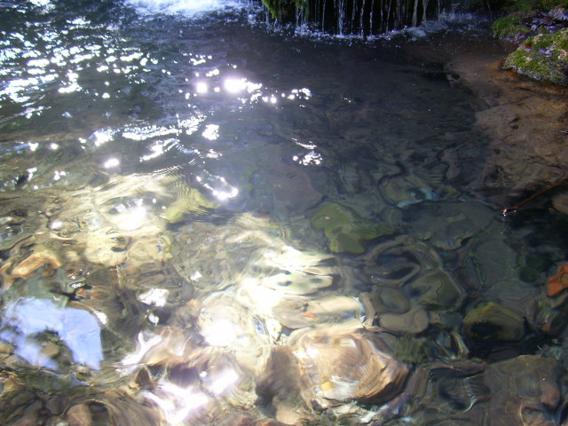 Stream water rocks plants sunlight #3 free wallpaper for desktop - medium preview image