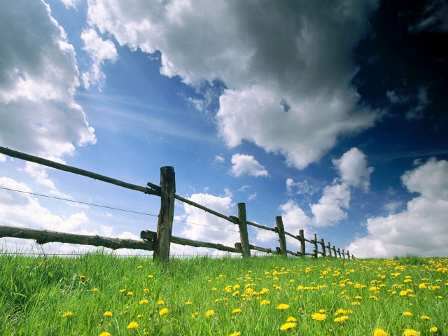 Field fence flowers grass cloudy #4 free wallpaper for desktop - medium preview image
