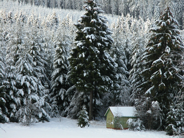 Small cabin snowy forest winter #2 free wallpaper for desktop - medium preview image