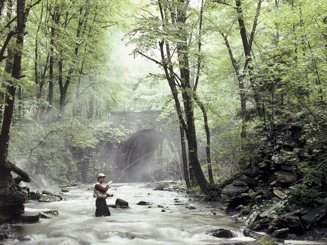 Man standing river holding fish free wallpaper for desktop - medium preview image