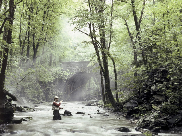 Man river fishing holding fish free wallpaper for desktop - medium preview image