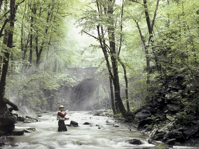 Man river fishing holding fish #2 free wallpaper for desktop - medium preview image