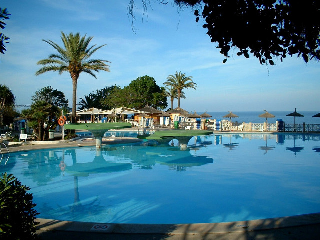 Ocean pool palmtrees beach sky free wallpaper for desktop - medium preview image