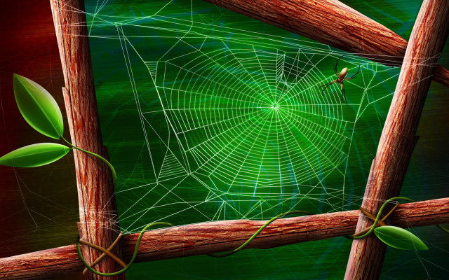 Spiderweb wooden fence green leafy free wallpaper for desktop - medium preview image