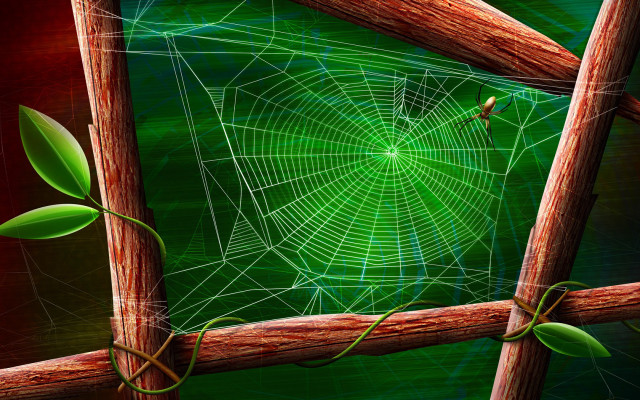 Spider web wooden fence green #2 free wallpaper for desktop - medium preview image