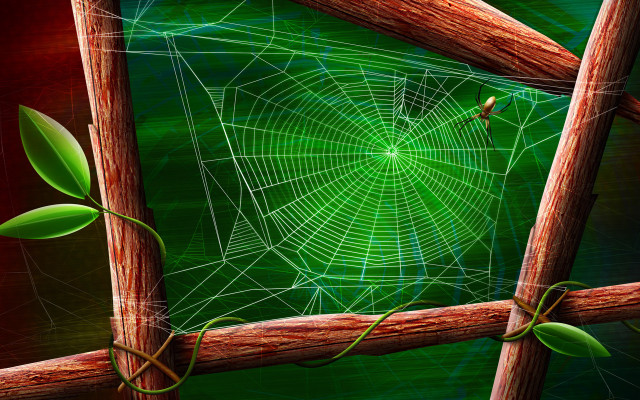 Spider web wooden fence green #3 free wallpaper for desktop - medium preview image
