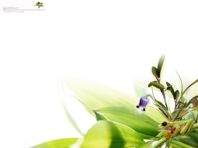 Plant white background blurry blue free wallpaper for desktop - medium preview image