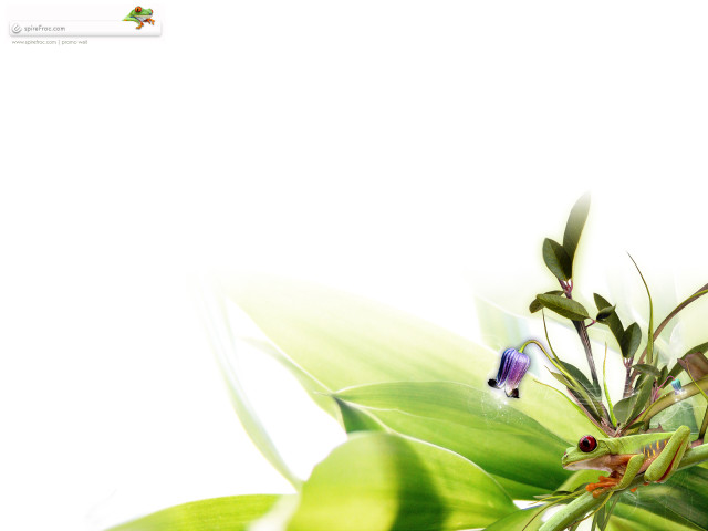 Plant white background blurry blue #2 free wallpaper for desktop - medium preview image