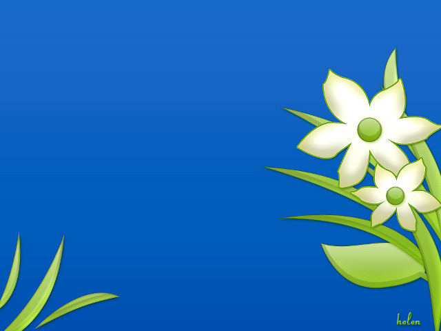 White flower green leaves blue free wallpaper for desktop - medium preview image
