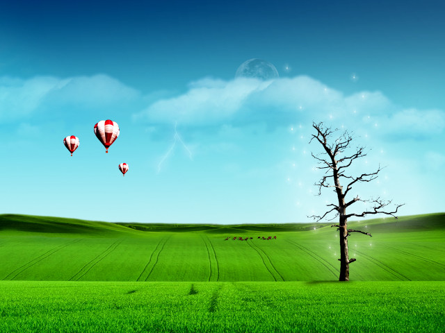 Lone tree hot air balloons #2 free wallpaper for desktop - medium preview image