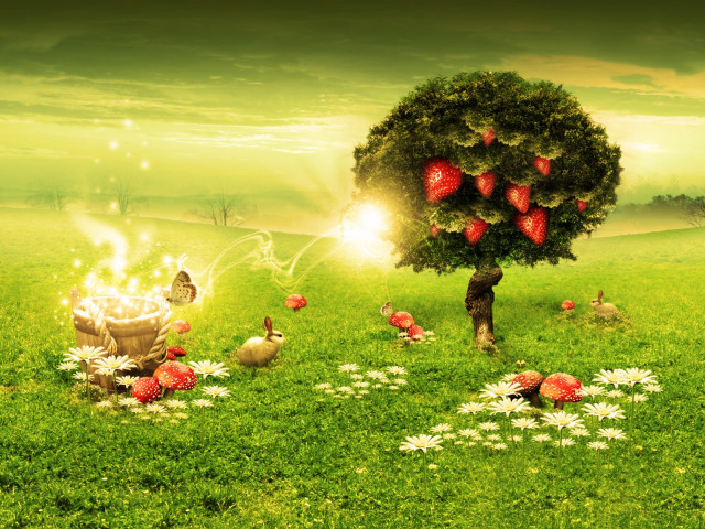 Tree basket strawberries field chickens #3 free wallpaper for desktop - medium preview image