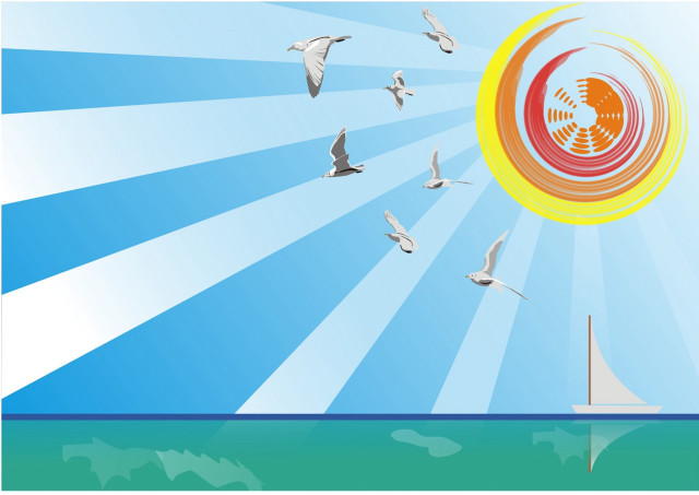 Birds flying water sun sailboat #2 free wallpaper for desktop - medium preview image