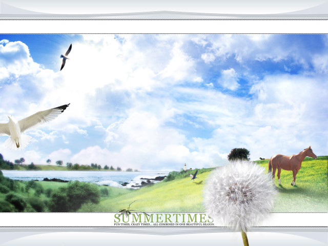 Horse bird flying field dandelion #4 free wallpaper for desktop - medium preview image