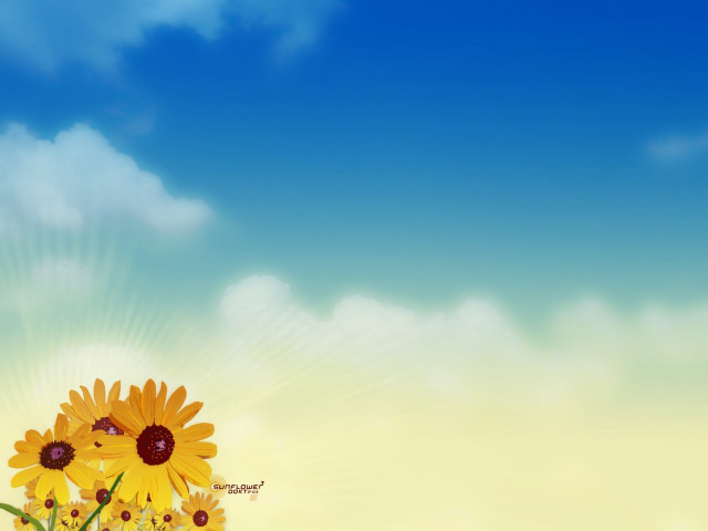 Sunflower field sky clouds sunburst free wallpaper for desktop - medium preview image
