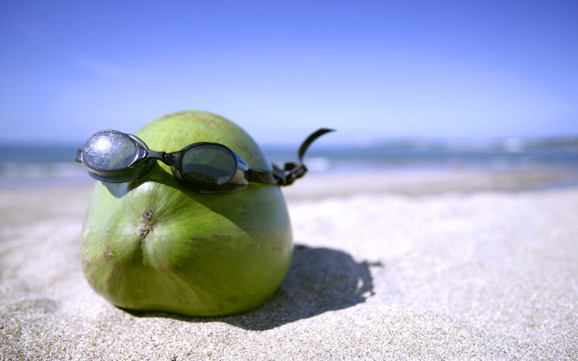 Green apple sunglasses sand beach #4 free wallpaper for desktop - medium preview image