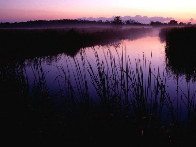 Lake reeds sunset clouds water free wallpaper for desktop - medium preview image