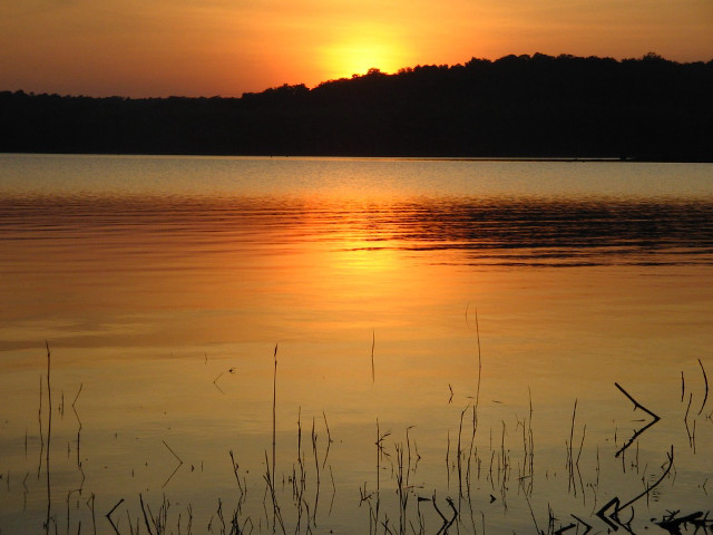 Sunset lake boat trees background free wallpaper for desktop - medium preview image