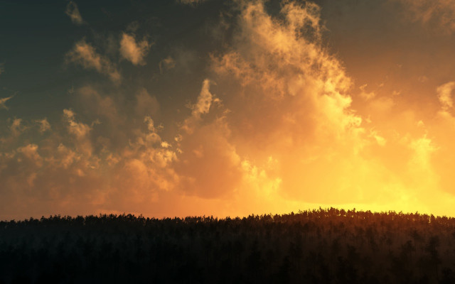 Plane forest cloudy sky sunset free wallpaper for desktop - medium preview image