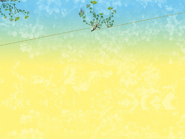 Bird wire yellow background glitch #2 free wallpaper for desktop - medium preview image