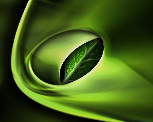 Green leaf background swirl center #2 free wallpaper for desktop - medium preview image