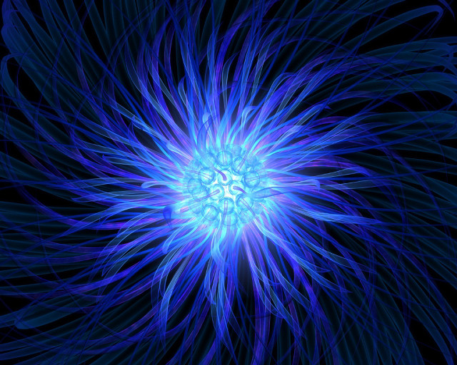 Blue flower black background bioluminescence #2 free wallpaper for desktop - medium preview image