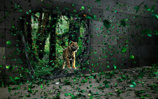 Tiger mirror green leaves confetti #3 free wallpaper for desktop - medium preview image