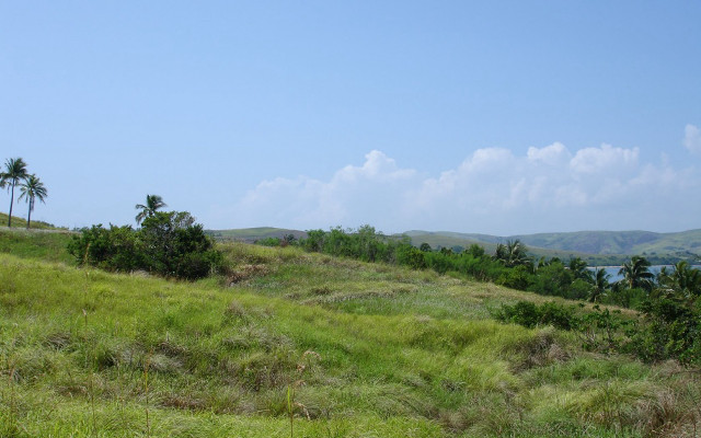 Grassy hill lake palm trees #2 free wallpaper for desktop - medium preview image