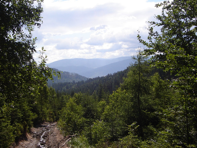 Dirt road trees mountains sky free wallpaper for desktop - medium preview image