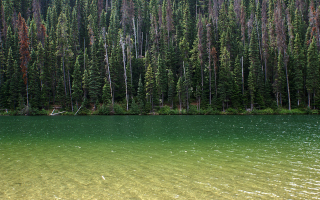 Lake trees forest boat person #2 free wallpaper for desktop - medium preview image