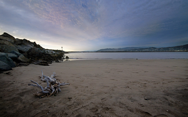 Beach driftwood water cloudy sky #2 free wallpaper for desktop - medium preview image