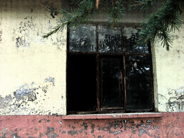 Window pine branch red wall #2 free wallpaper for desktop - medium preview image