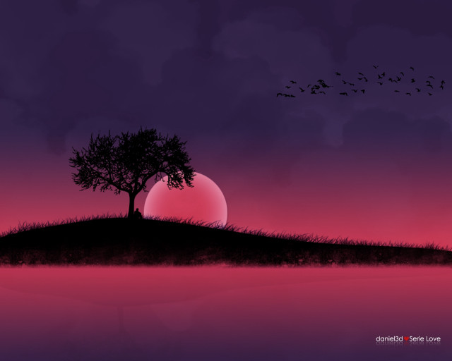 Tree hill sunset birds gothic free wallpaper for desktop - medium preview image