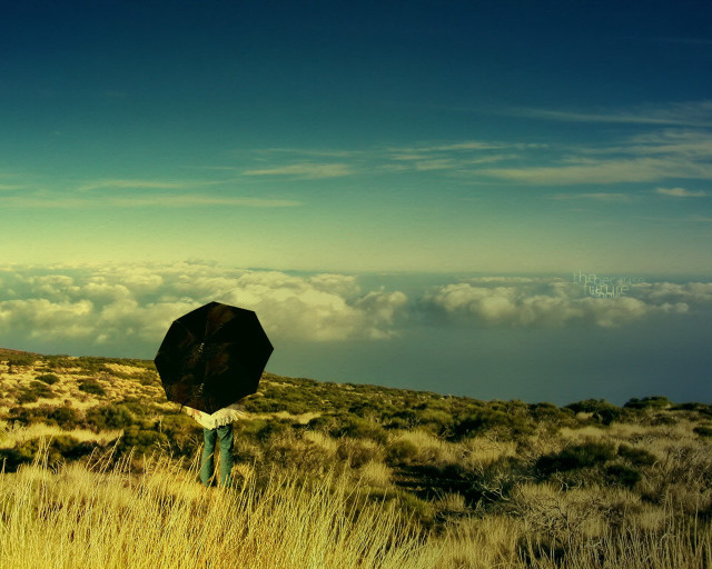 Person umbrella field sky clouds #3 free wallpaper for desktop - medium preview image