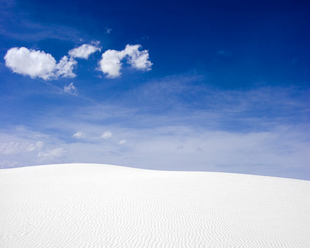 Lone tree white sand dune free wallpaper for desktop - medium preview image