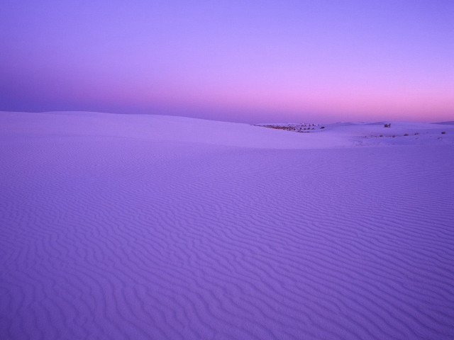 Purple sky sand dunes trees #2 free wallpaper for desktop - medium preview image