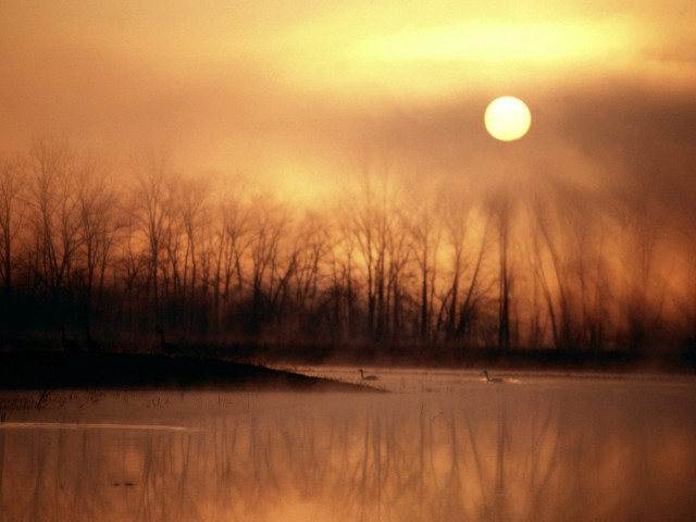 Water trees sun sky clouds free wallpaper for desktop - medium preview image